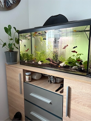 Vand Acvariu de 120 Litri Complect - imagine 3