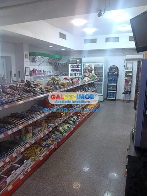 Spatiu Comercial Pantelimon 311 | 70mp | Trifazic | stradal - imagine 18