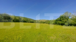 Investiție – 3,6 ha Glamping, Pensiune sau Centru Ecvestru in inima naturii - imagine 2
