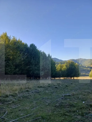 Teren extravilan in inima naturii - imagine 2