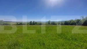 Investiție – 3,6 ha Glamping, Pensiune sau Centru Ecvestru in inima naturii - imagine 3