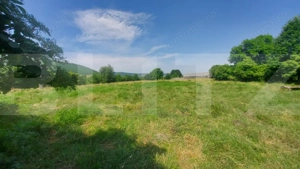 Casa + teren intravil, 3.6 ha I Zagon I Potential turistic si investitional - imagine 9