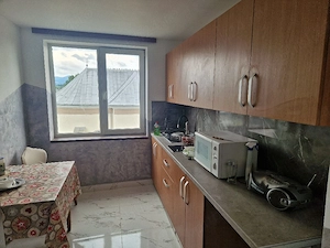 chirie apartament 2 camere regim hotelier in statiunea Ocna Sugatag - imagine 4