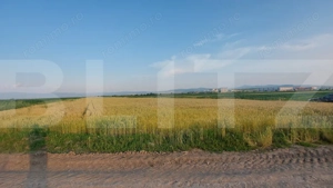 Teren arabil 9.000 mp în Moacșa – investiție într-o zonă agricolă cu potential