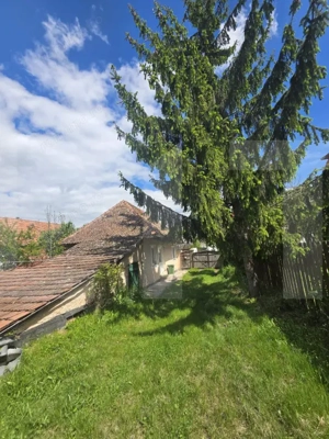Casă țărănească în centrul localității Ilieni – teren 832 mp. - imagine 6