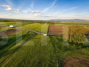 Teren extravilan de vanzare, 9000 mp - Ilieni  - imagine 4