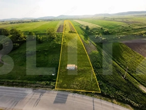 Teren extravilan de vanzare, 9000 mp - Ilieni  - imagine 2