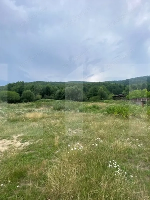 Proprietate pentru turism și agrement, 7.000 mp teren – Ghelința - imagine 7