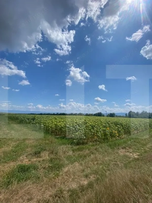 De vânzare teren arabil – 4,58 ha, Moacșa, Covasna - imagine 2