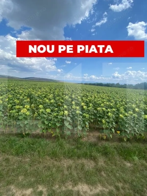 De vânzare teren arabil – 4,58 ha, Moacșa, Covasna