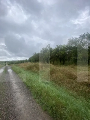 Teren cu potențial rezidențial – Simeria, Sfântu Gheorghe