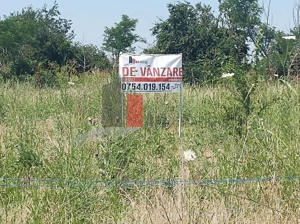 Vânzare 2 loturi de casă Dobreni Giurgiu - imagine 8