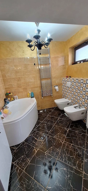Casa de vanzare , Caporal Musat , mobilata complet - imagine 4