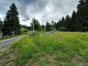 Teren in Statiunea Durau, Ceahlau, 1046mp, str. Stejarului - imagine 12