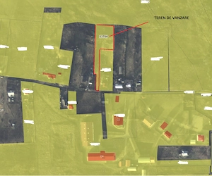 Teren extravilan 2.800 mp de vanzare - Dealu Mare, langa Dorohoi, Botosani