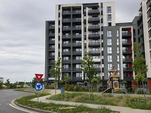 Spațiu comercial (SAD) de închiriat direct de la proprietar   201,63 mp | Calea Torontalului nr. 104 - imagine 9