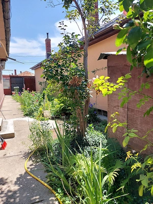 Casa de vanzare, zona premium, DN4, 60km de Bucuresti, langa Dunare - imagine 6