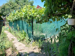 Casa de vanzare, zona premium, DN4, 60km de Bucuresti, langa Dunare - imagine 9