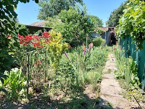 Casa de vanzare, zona premium, DN4, 60km de Bucuresti, langa Dunare - imagine 10