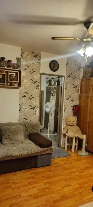 Ady Endre, spre vanzare apartament 2 camere - imagine 8