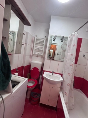 Dambu Pietors - Inchiriere apartament 2 camere - Str. Magurei - imagine 7