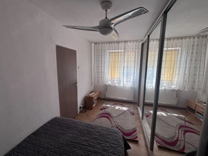 Dambu Pietors - Inchiriere apartament 2 camere - Str. Magurei - imagine 4