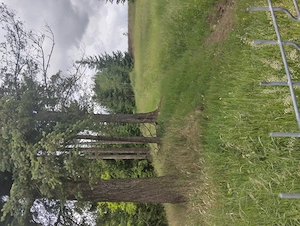 Vând teren intravilan in Toplita, judetul Harghita, 2185 mp - imagine 4