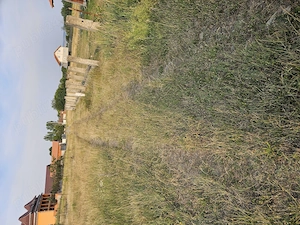 Vând Urgent Teren intravilan 600 m p  în Tileagd  - imagine 5