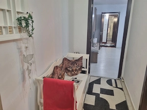 inchiriez apartament cu 2 camere in craiova , cartier rovine 