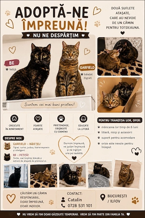 Adopta-ne împreună