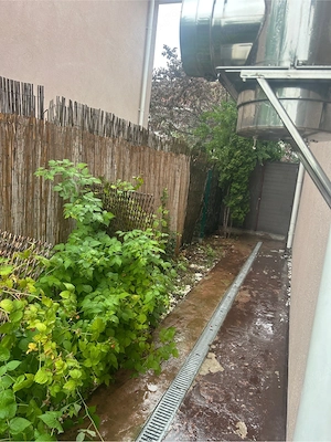  Vila Pipera Jasmin Gardan - imagine 4