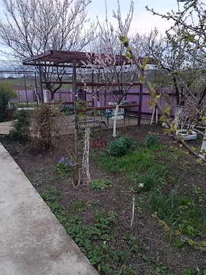 Vand casa in Barsanesti, judetul Botosani, teren 3868 mp - imagine 8