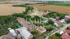 Teren intravilan Cerneteaz 50euro/mp - imagine 2