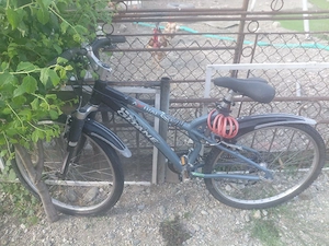 vand ce se vede in poze