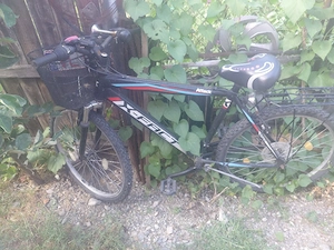 vand ce se vede in poze