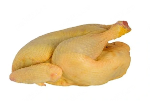 Vând găină de casă tăiată 