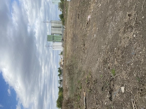 Tere intravilan industrial 1285mp - imagine 3