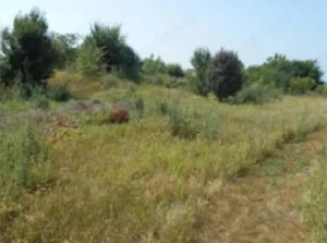 Proprietar vand teren de constructie in Voluntari-2515 mp- comision 0! - imagine 3