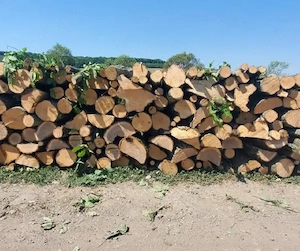 vand lemne de foc carpen cu stejar esenta tare transport la domiciliu 