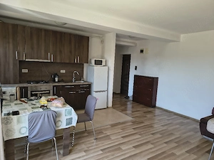 Apartament 2 cam de închiriat-Giroc-comision 0 - imagine 7