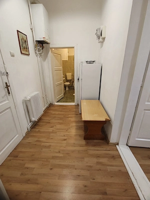 Apartament cu o cameră, B-dul Independentei.UMF.300 euro.