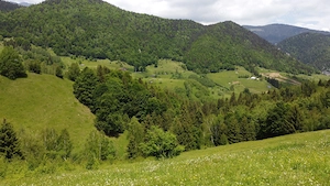 De Vânzare Teren intravilan 4.151 mp în Peștera (Bran-Moeciu)   Izvor Propriu & Proiect DTAC inclus - imagine 9