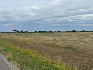 Teren de vanzare la drumul catre vama Salonta. - imagine 3