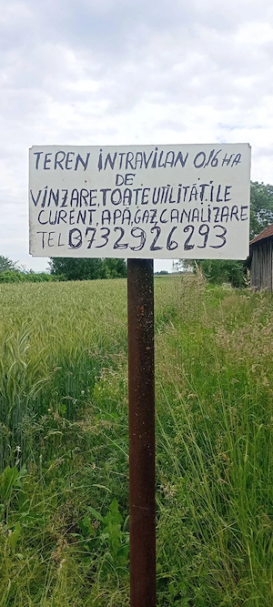 Teren intravilan in Sâmbătă De Sus  - imagine 2