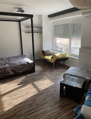 Apartament 1 Cameră  Decomandat Centrală Proprie Terasă 13 MP Zona Torontalului - imagine 4