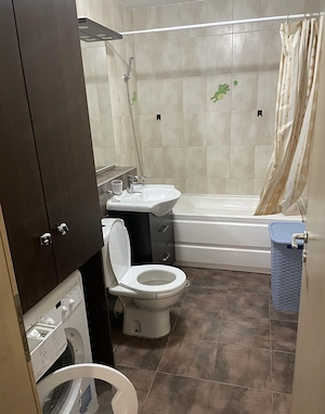 Apartament 1 Cameră  Decomandat Centrală Proprie Terasă 13 MP Zona Torontalului - imagine 5