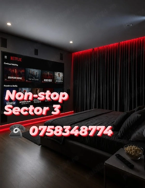 Regim hotelier Non Stop sector 3 Titan Salajan  