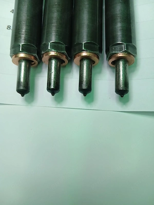 Injectoare Delphi cod EJBR03902D  - imagine 2