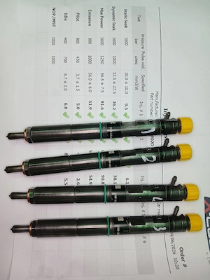 Injectoare Delphi cod EJBR03902D  - imagine 3