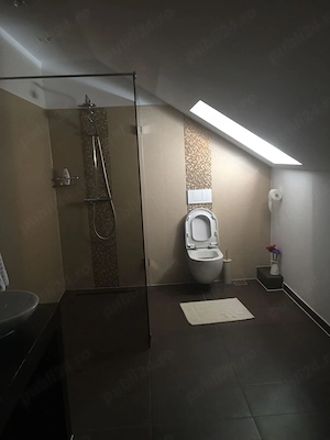 Casă de vânzare cu domeniu generos de 5.000 mp (50 ari)   Geoagiu, Hunedoara - imagine 8